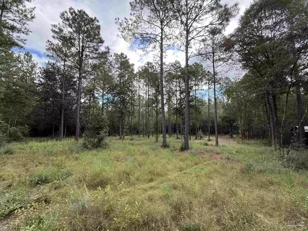 Laurel Hill, FL 32567,0000 Meander Creek Ln