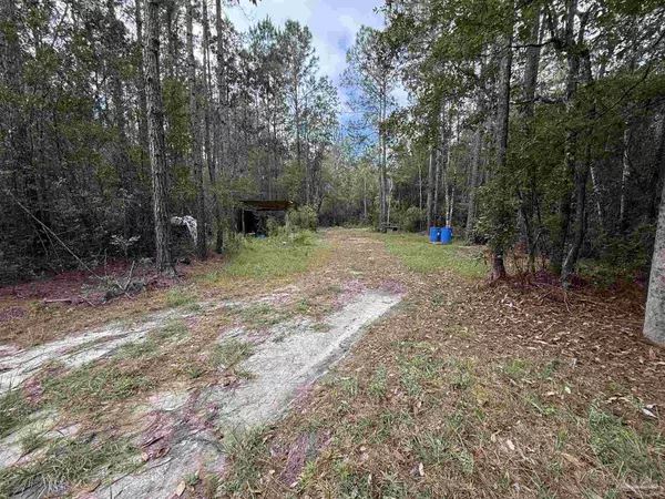 Laurel Hill, FL 32567,0000 Meander Creek Ln