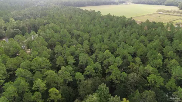 Pace, FL 32571,001 Wallace Lake Rd