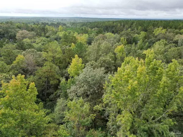 Brewton, AL 36426,17606 Hwy 41