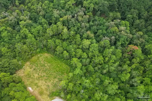 Atmore, AL 36502,0 Cool Creek Ln