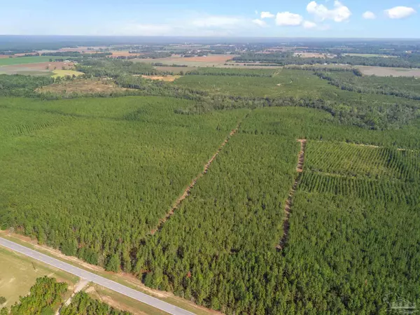 Milton, FL 32570,00 Greenwood Rd