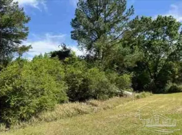 Millry, AL 36558,0 Horace Odom Rd