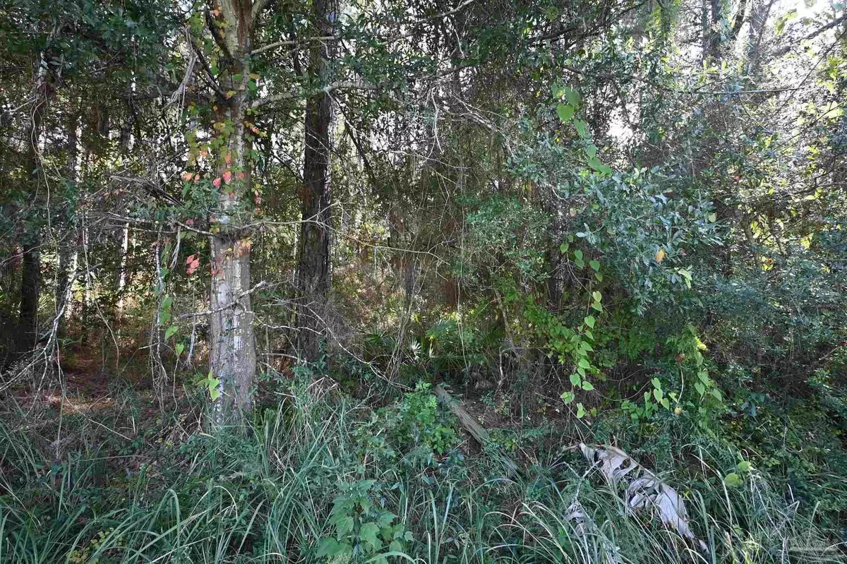 Milton, FL 32583,6421 Michigan Ave