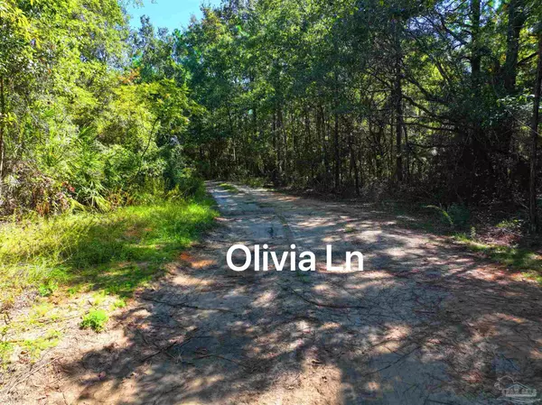 Milton, FL 32570,Lot 6 Olivia Ln