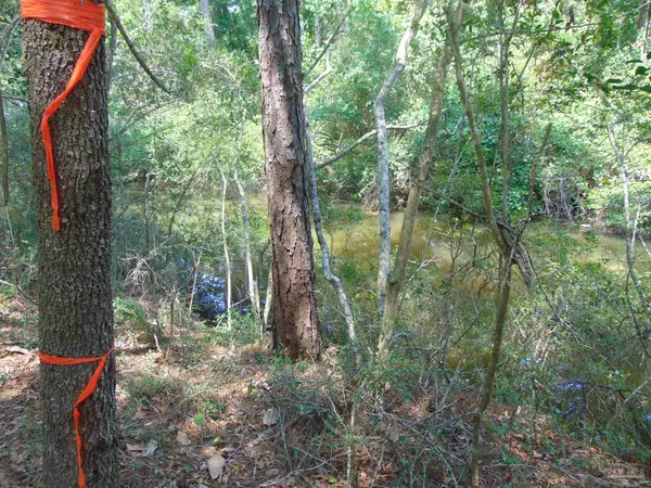 Milton, FL 32583,3178 Harrison St