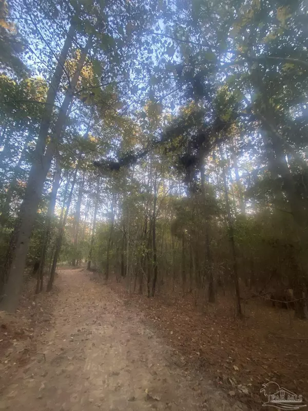 Jay, FL 32565,8 Acres Hwy 4