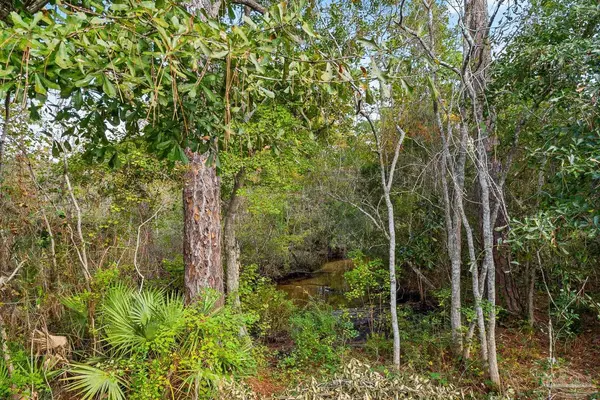 Pensacola, FL 32506,2004 Coral St