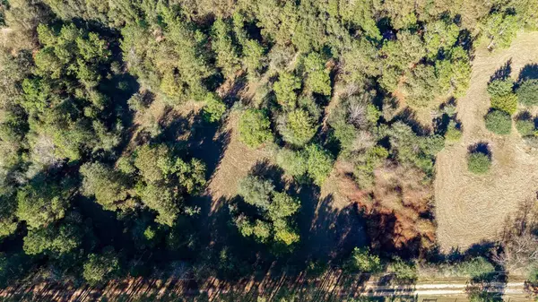 Cantonment, FL 32533,1756 Jacks Branch Rd