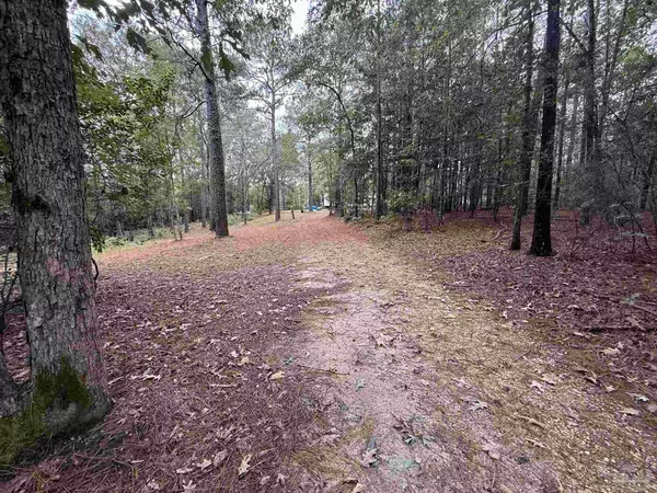 Uriah, AL 36480,350 Manack Bridge Rd