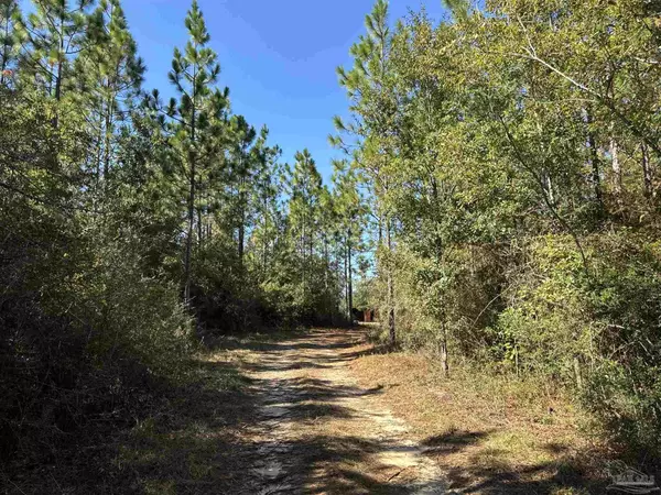 Pace, FL 32571,3404 Yellow Hammer Rd