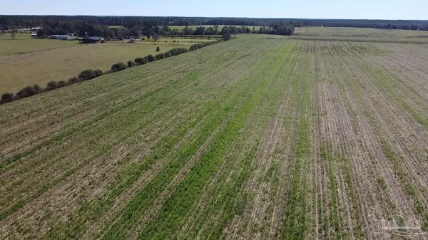 Walnut Hill, FL 32568,5600 Block Hwy 97