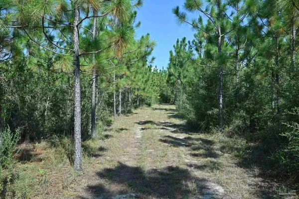 Pace, FL 32571,2597 Creek Chase Trl