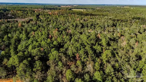 Milton, FL 32570,4A Walling Rd