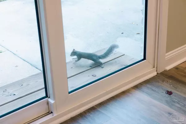 Pensacola, FL 32504,5580 Homewood Rd