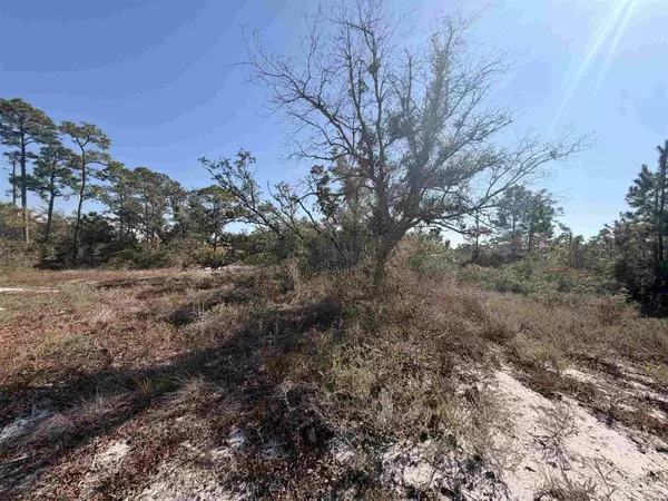 Perdido Key, FL 32507,13000 Gongora Dr