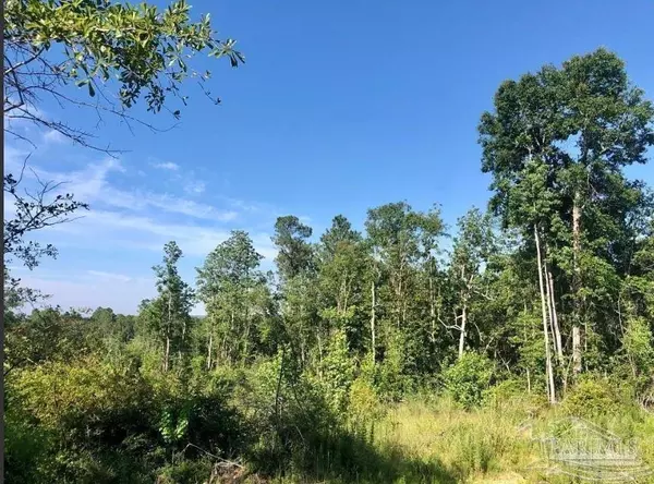 Pace, FL 32571,Lot 17 BS Buffalo Ridge Rd