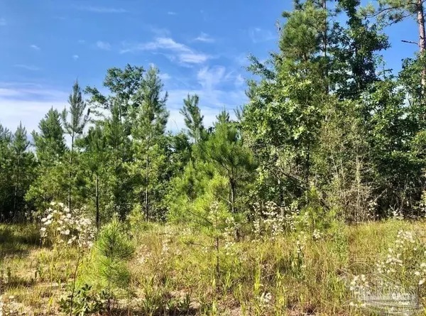 Pace, FL 32571,Lot 17 BS Buffalo Ridge Rd