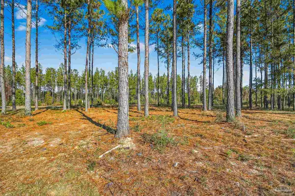 Jay, FL 32565,1421 Mineral Springs Rd