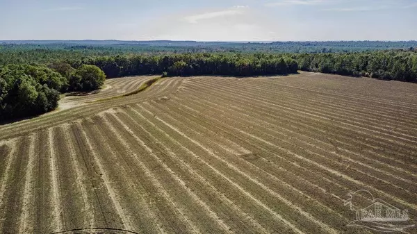 Pace, FL 32571,1A Segrest Rd