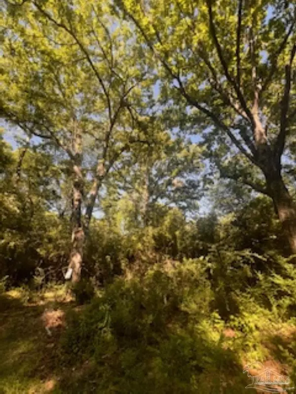 Bonifay, FL 32425,1329 Beaver Dam Ln