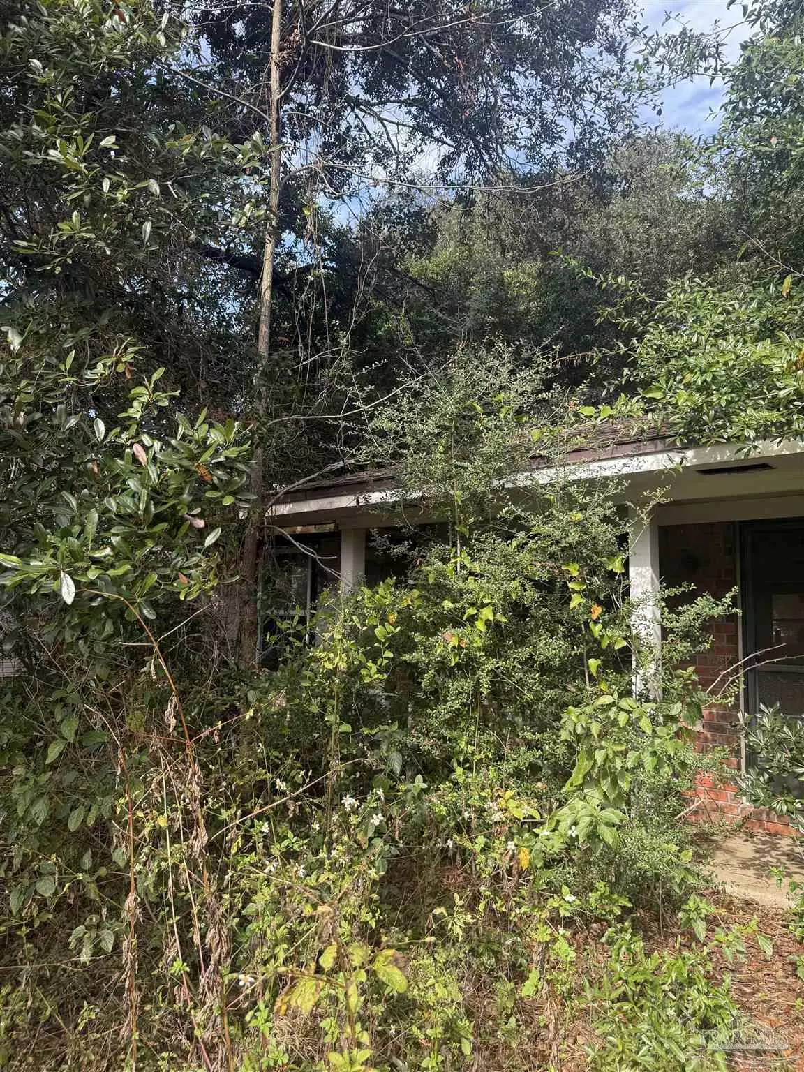 Pace, FL 32571,4444 Angie Ln