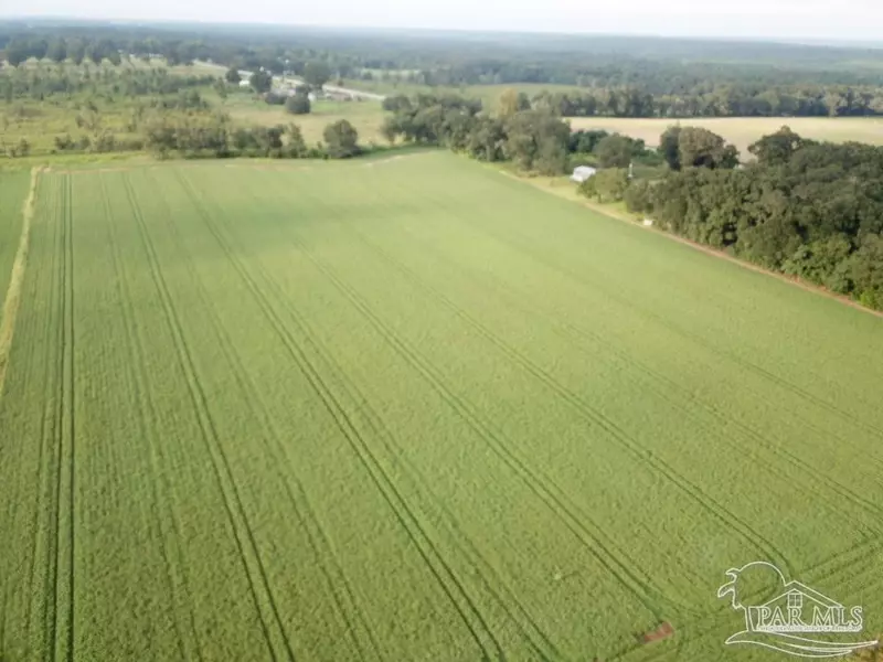 8+ acres N Hwy 87, Milton, FL 32570