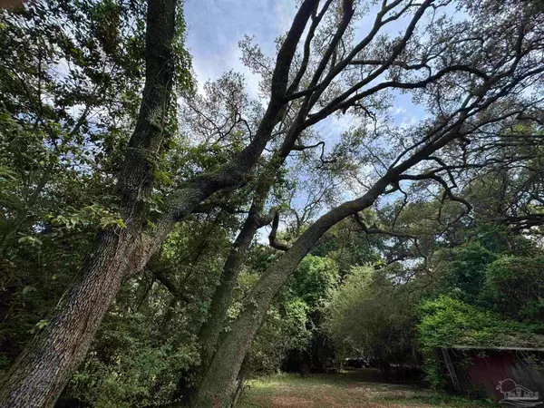 Pensacola, FL 32506,6305 W Jackson St