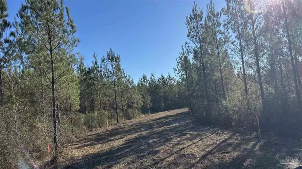 Allentown, FL 32565,lot 56 Straw Bridge Rd
