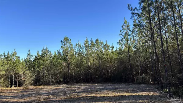 lot 57 Straw Bridge Rd, Allentown, FL 32565