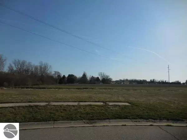 Alma, MI 48801,195 Jade Court UNIT 44