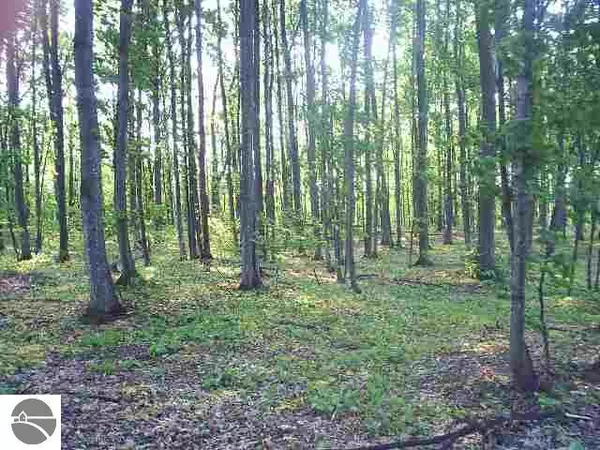 Suttons Bay, MI 49682,N Our Majestic Trail