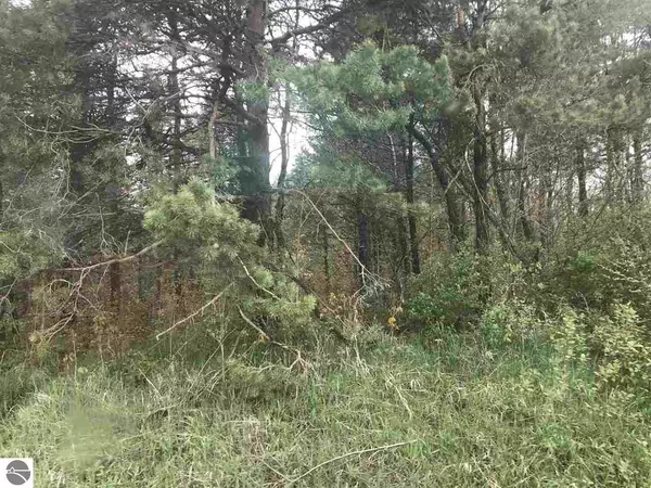 Tustin, MI 49688,19 Mile Road