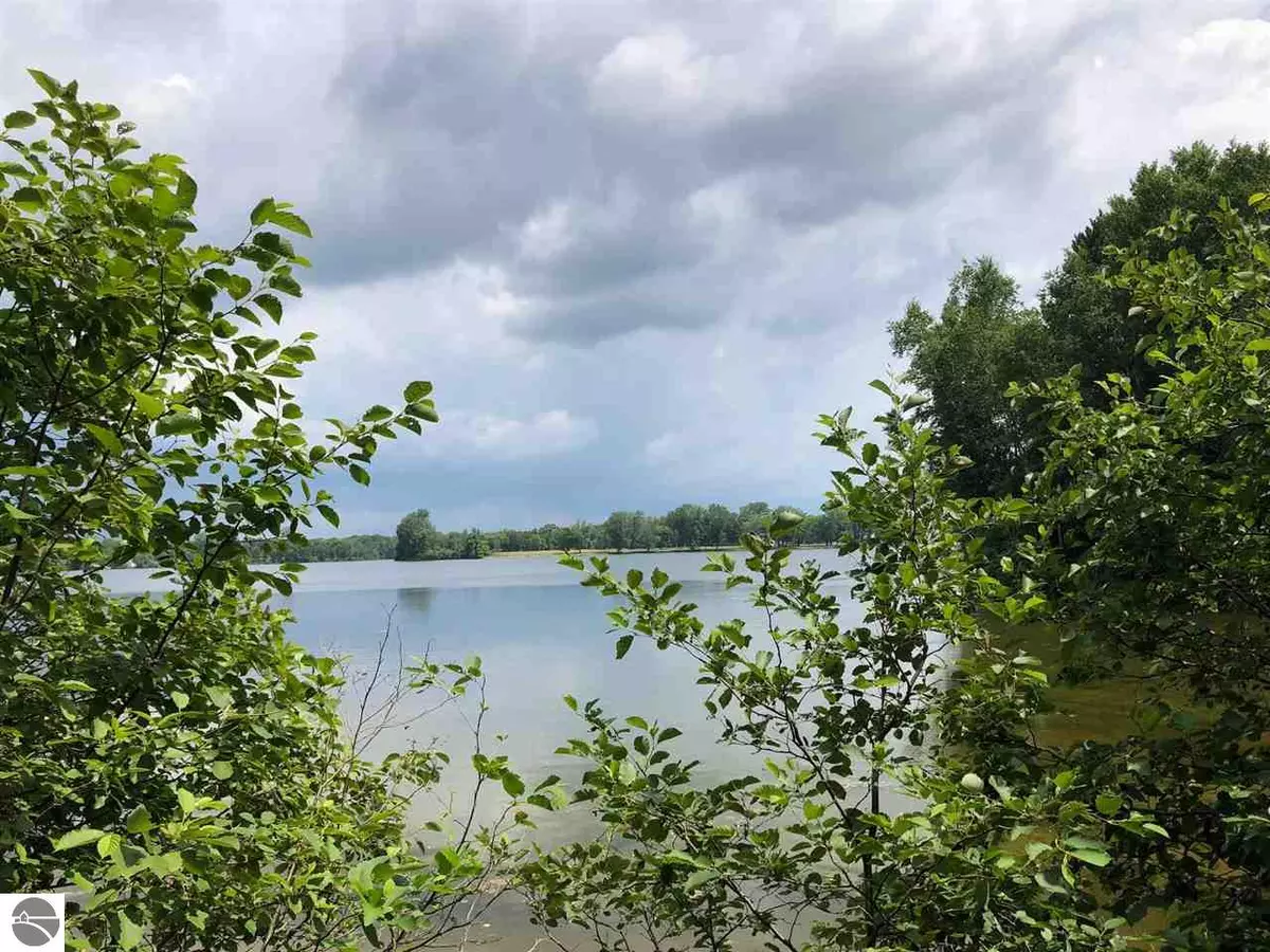 Lake Isabella, MI 48893,Parcel D W River Road