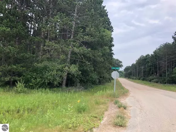 Lake Isabella, MI 48893,Parcel E W River Road