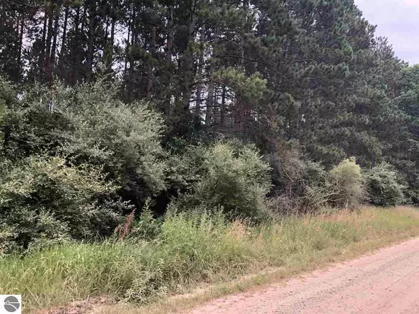 Lake Isabella, MI 48893,Parcel E W River Road