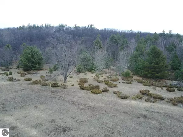 Maple City, MI 49664,2900 School Lake Road