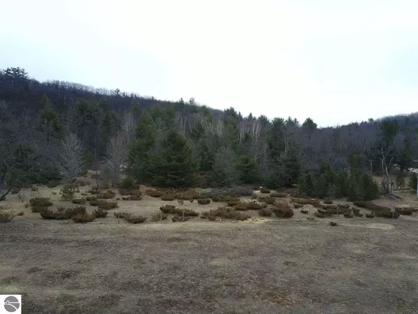 Maple City, MI 49664,2900 School Lake Road