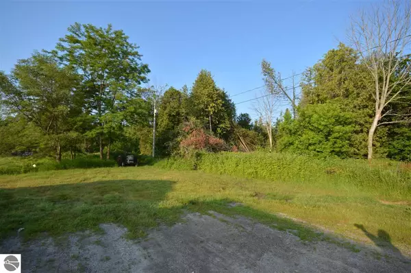 Suttons Bay, MI 49682,113 W Fourth Street