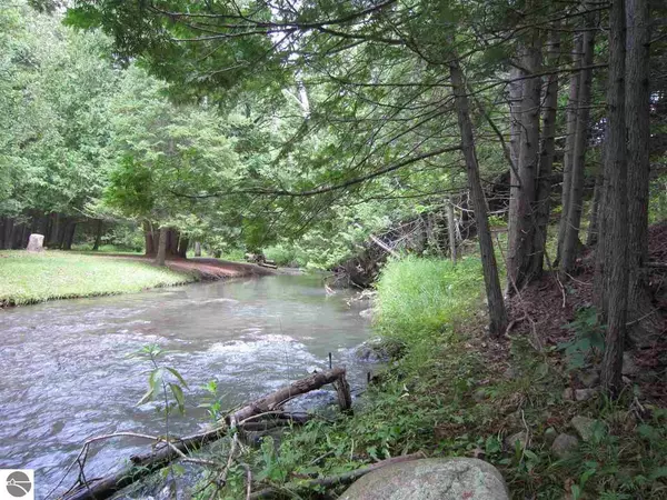 Rose City, MI 48654,N/A Beechwood Road