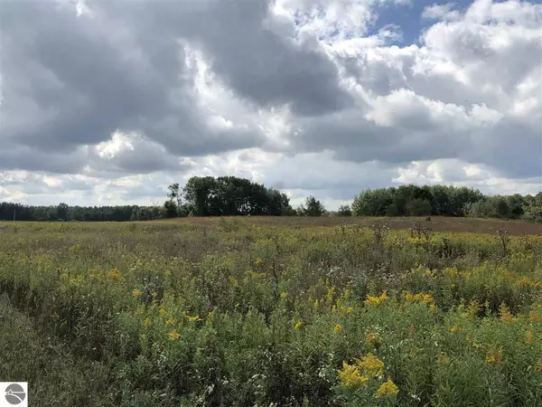 TBD S Littlefield Road, Weidman, MI 48893