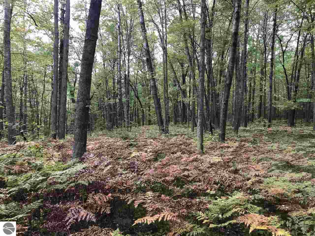 0 Carlisle Drive, Rose City, MI 48654