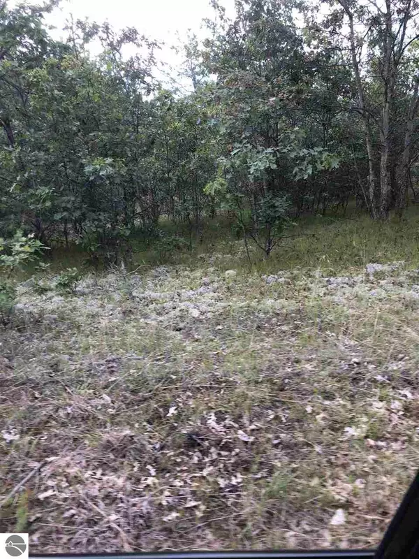 Harrison, MI 48625,TBD E Stockwell Parcel C