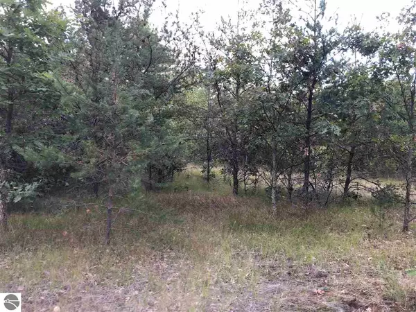 Harrison, MI 48625,TBD E Stockwell Parcel E