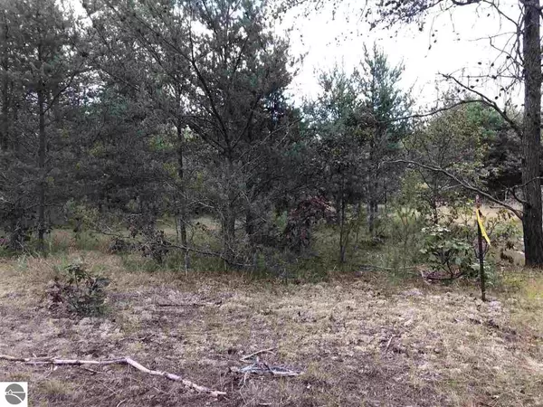 Harrison, MI 48625,TBD E Stockwell Parcel F