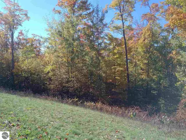 Suttons Bay, MI 49682,1927 N Blue Water Court