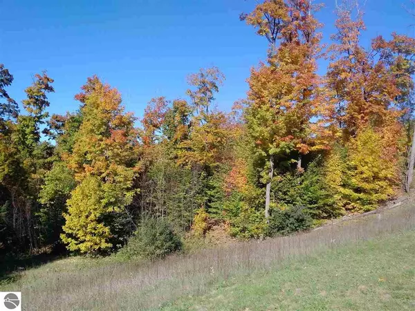 Suttons Bay, MI 49682,1927 N Blue Water Court