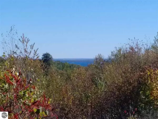 Suttons Bay, MI 49682,1886 N Blue Water Court