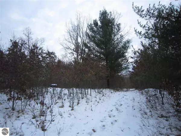 N/A Schmidt Road, Rose City, MI 48654