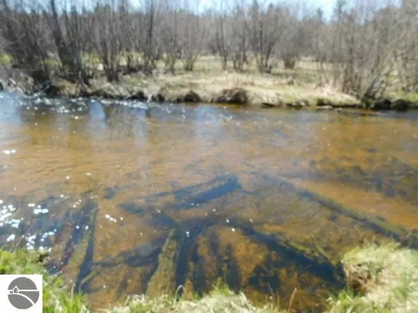 Kalkaska, MI 49646,7011 S River Road